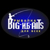 Логотип телеграм канала @ribalkarostovdon — 🎣🐟Рыбалка с И.Б «СВЯЗЬ»🐟🎣