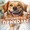Логотип телеграм канала @ribosommaa — Пушистые Приколы