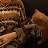 Логотип телеграм канала @rinavi4bes — ୨୧ яблоки с корицей ⸝⸝ ⊹