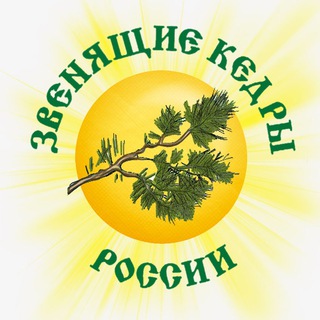 Логотип телеграм канала @ringingcedarsrussia — Звенящие Кедры России