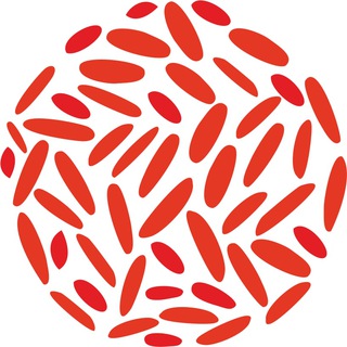 Логотип телеграм канала @risrf — РИС.РФ