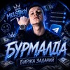 Логотип телеграм канала @rissvpnxbot — Бурмалда|биржа заданий