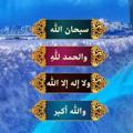 Logo saluran telegram riyadhoftherighteous — 🌷🌹رياض الصالحين 🌹🌷