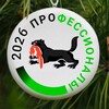 Логотип телеграм канала @rkc_38 — Профессионалы | Иркутская область