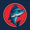 Логотип телеграм канала @rndfish — Ростовский Ёрш