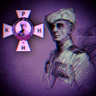 Логотип телеграм канала @rnik_drozdovsky — РНИК Михаила Дроздовского🇷🇺