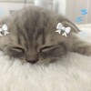 Логотип телеграм канала @roblox_yanaa — новости в роблоксе|рп