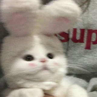 Логотип телеграм канала @robloxini — Robloxинки