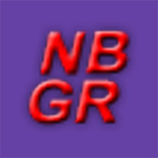 Логотип телеграм канала @robloxnbgr — Roblox - биржа NBGR