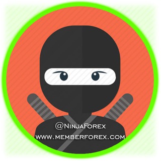 Logo of telegram channel robotforex — RobotForex Officials