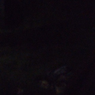 टेलीग्राम चैनल का लोगो rocketbnf — BANKNIFTY