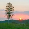 Логотип телеграм канала @rodina_moya_russsia — РОДИНА МОЯ