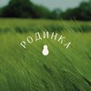 Логотип телеграм канала @rodinka_no — Родинка — проект о малых городах Нижегородской области