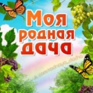 Telegram channel 🫛☘️Моя Родная Дача☘️🫛 logo