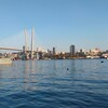 Логотип телеграм канала @rodnayakrovv — Родная кровь