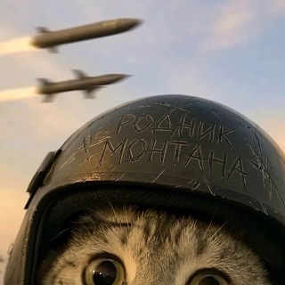 Логотип телеграм канала @rodnik_montana40 — Родник Монтана⚓️🇷🇺