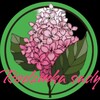 Логотип телеграм -каналу rodzunka_sady — РОДЗИНКА САДУ 🌹🌸🌿🌲 САДЖАНЦІ Вирощування рослин - це мистецтво яке дарує нове життя та красу !