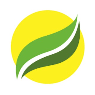 Логотип телеграм -каналу rokada_if — БФ "Рокада" Івано-Франківськ
