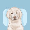 Логотип телеграм канала @rokki_112 — дуркин дом.