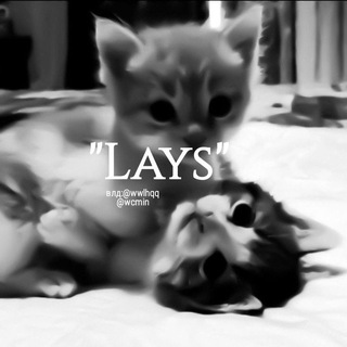 Логотип телеграм канала @rolklays — 🛐𝒍𝒂𝒚𝒔🛐