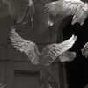 Логотип телеграм канала @rollierevenge — Rollie ethereal