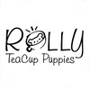 Логотип телеграм канала @rollypups_official — ROLLY