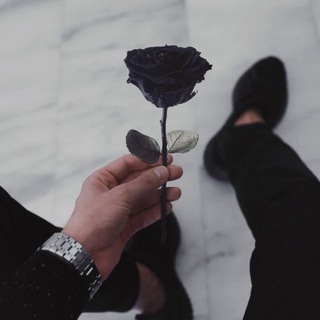Логотип телеграм канала @romanov_1 — Романов