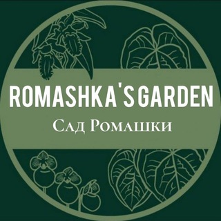 Логотип телеграм канала @romashka_plants — 🌿ℝ𝕠𝕞𝕒𝕤𝕙𝕜𝕒 ℙ𝕝𝕒𝕟𝕥𝕤🌿