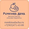 Логотип телеграм канала @romkinadacha — Ромкина Дача🍏