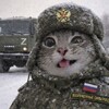 Логотип телеграм канала @romuliiiiiiik — Блогер с лн