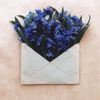 टेलीग्राम चैनल का लोगो roohmahdi — قبــس نــور