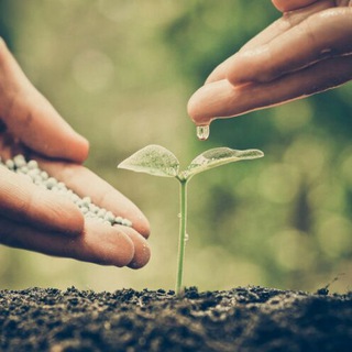 لوگوی کانال تلگرام rooinkala — 💧آب و کشاورزی 🌿