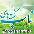 Logo saluran telegram rooshanfekr — نکته‌های ناب مهدوی(تلخ‌گو)