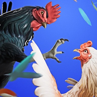 Logo of telegram channel rooster_fights_game — Rooster Fights Game