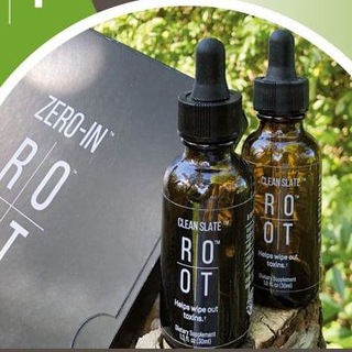 Logo des Telegrammkanals rootsbusiness - The ROOt's - Business