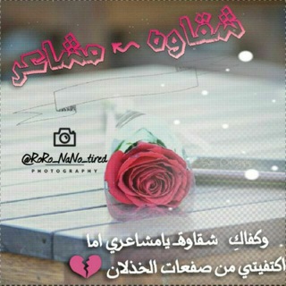 لوگوی کانال تلگرام roro_nano_tired — #شقـ͜إآوه_مشـ͜إآعـــر ۦ.ِ ُ🖤✨