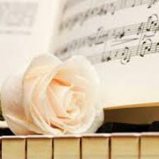 لوگوی کانال تلگرام rosa22222 — عٌزٍفُ عٌلَﮯ هّمًسِ وٌردٍ♫