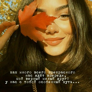 Telegram kanalining logotibi rose_mood — 🎼MP3🎼 MUSIC🎼MOOD🎼