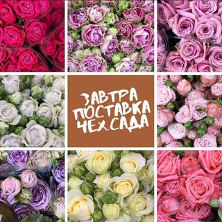 Логотип телеграм канала @rose_number_one — ЦВЕТЫ ОПТОМ🌹🌹🌹ЧЕХОВСКИЙ САД