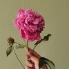 Логотип телеграм канала @rose_and_birds — Rose & Birds ❤️‍🔥