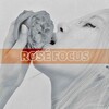 Logo of telegram channel rosefocus — 𝐑𝐎𝐒𝐄 𝐅𝐎𝐂𝐔𝐒