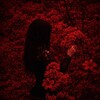 Логотип телеграм канала @roses_of_death — ᴍʏsᴛᴇʀʏ ᴏғ ʀᴇᴅ ʀᴏsᴇ