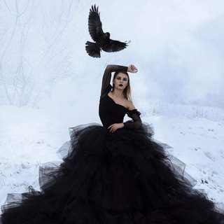 Logotipo del canal de telegramas rosesforyou - 🦋 LA•VIDA🌹ES•BELLA🦋