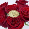 Logo of telegram channel rosesignalspremiumu — 🧧Rose Premium Signal🌹