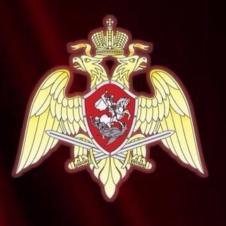 Логотип телеграм канала @rosgvardmo50 — Росгвардия. Московская область