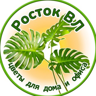 Логотип телеграм канала @rostok_vl — РостокВл 🪴 Rostok_Vl Владивосток