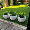 Логотип телеграм канала @rotangru — Rotangru