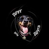 Логотип телеграм канала @rottko — Rottkomanda