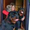 Логотип телеграм канала @rottweilerbodygard — КОТРОТТФРОНТ