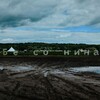 Логотип телеграм канала @route_61 — маршрут номер 61